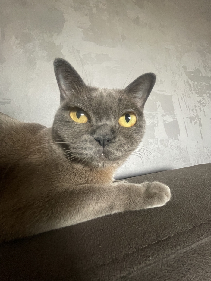  ? , , ,  , ,  ,  