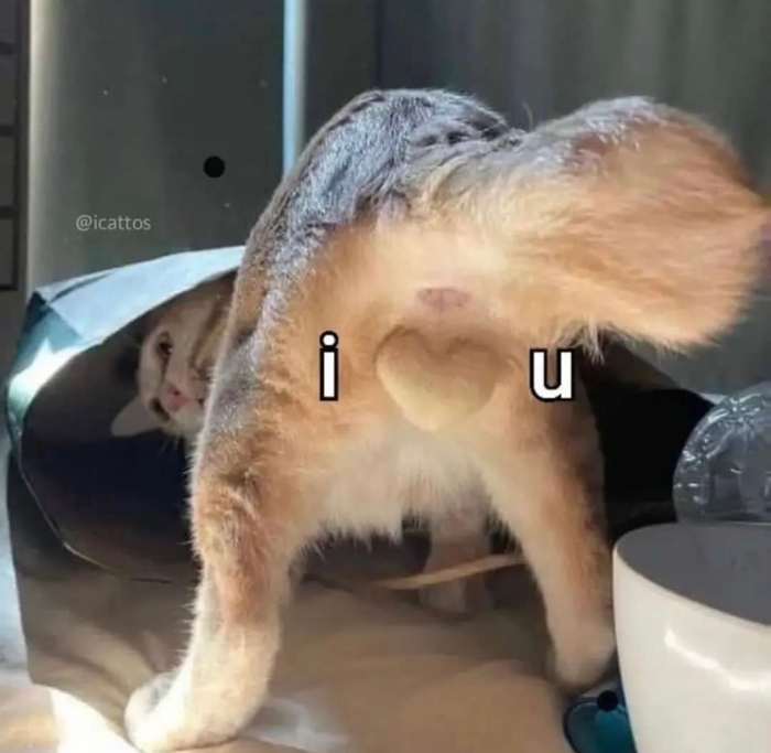 Мой парень постоянно сидит на Пикабу!