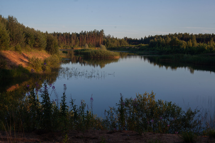 Озеро Фотография, Лето, Тверская область, Природа, Длиннопост, Озеро