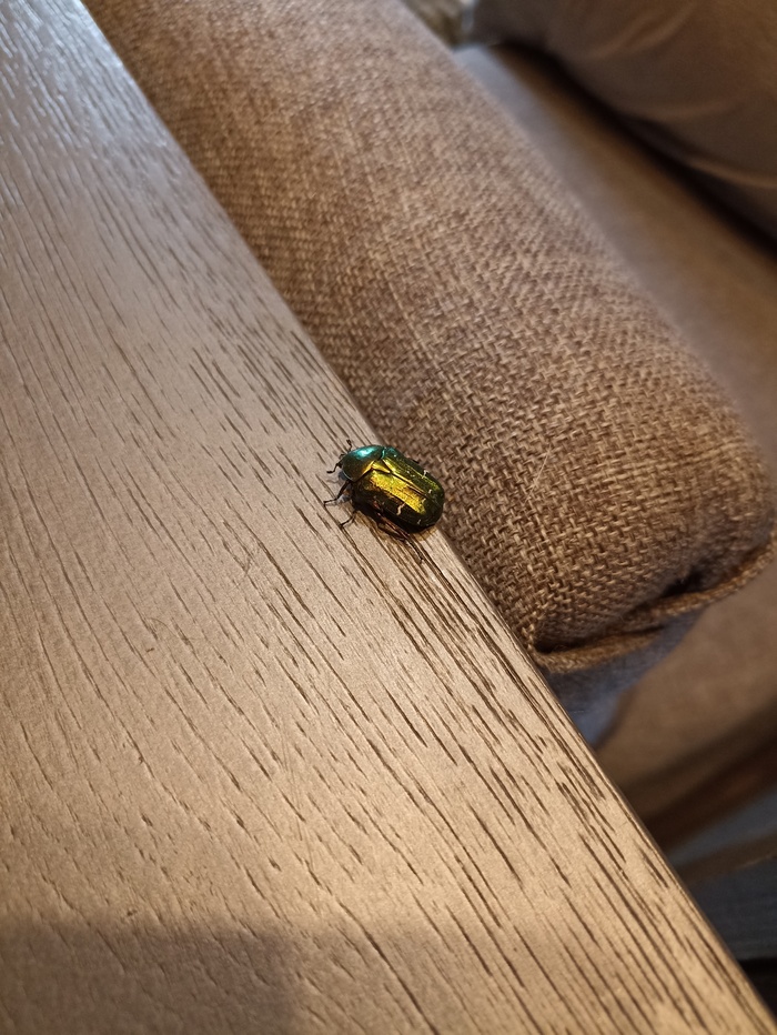 ������� ���!