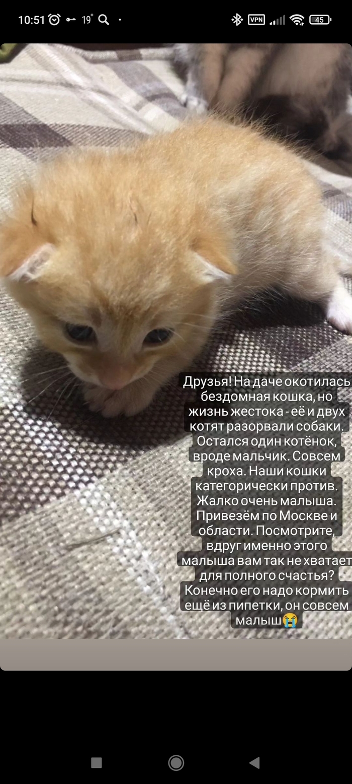 ������ ���� ������ ����!