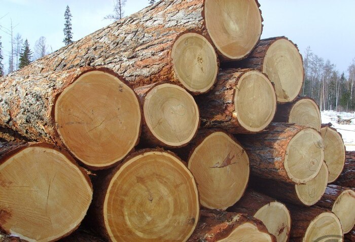 ��� �� ����� ���?