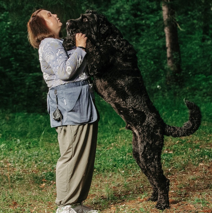 Рос, рос и вырос