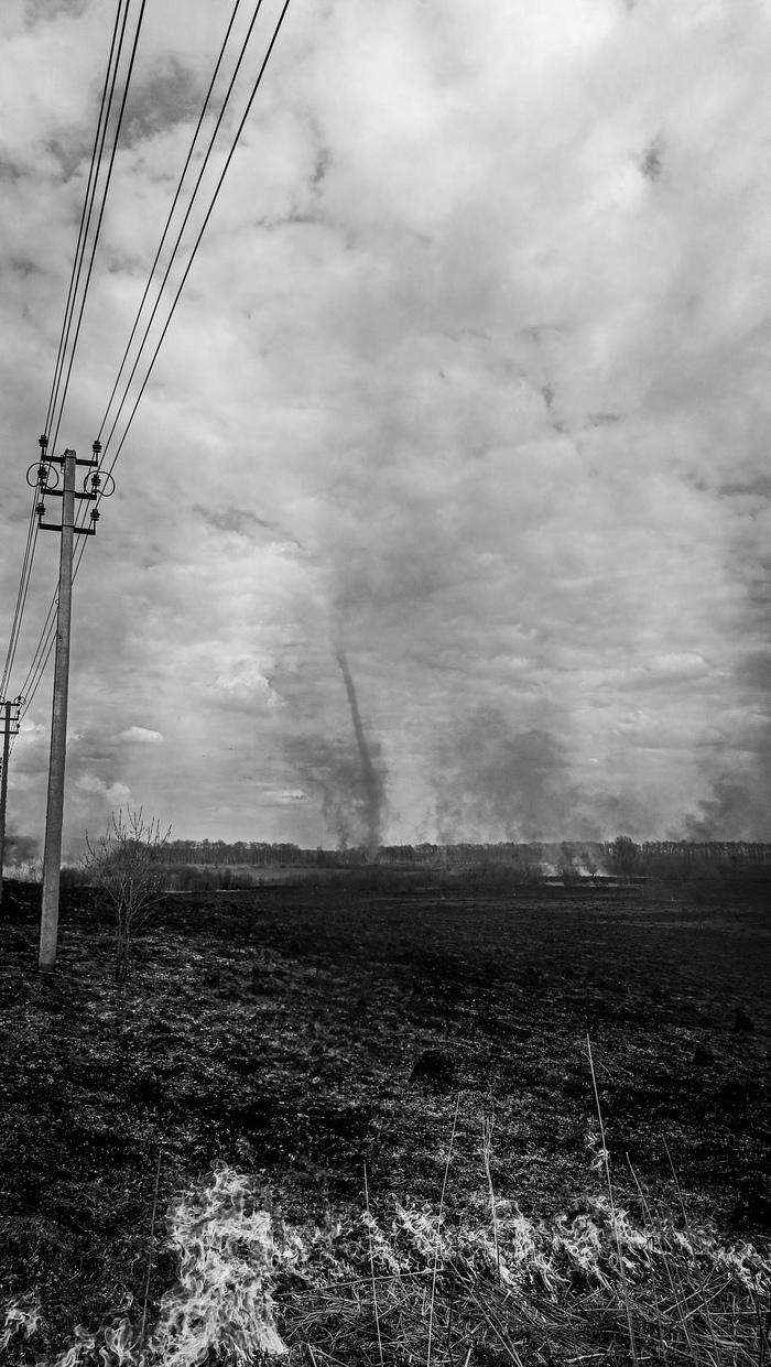 ׸���-����� ����