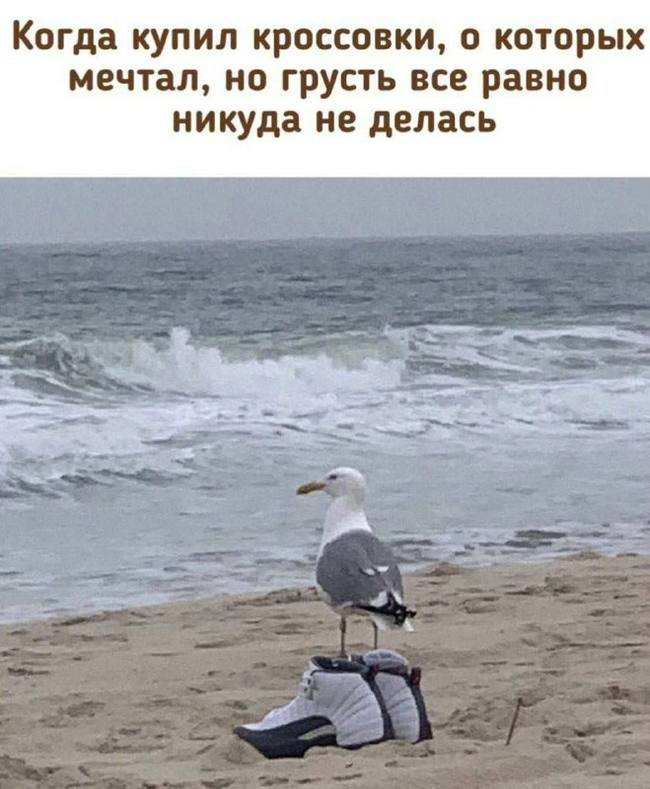 ,   ,  