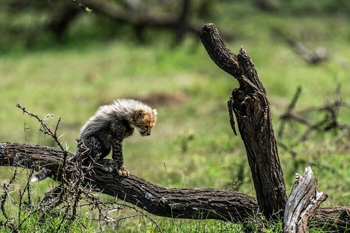В раздумьях
