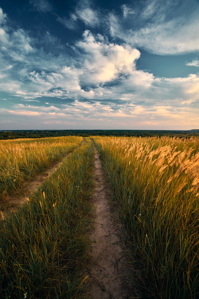 Дорога к реке | Пикабу