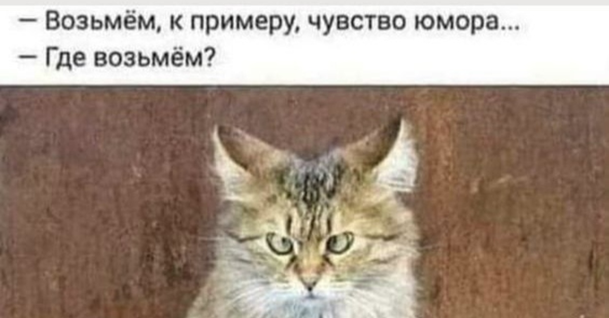 Даю возьмешь