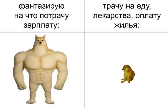    , ,  , , Doge