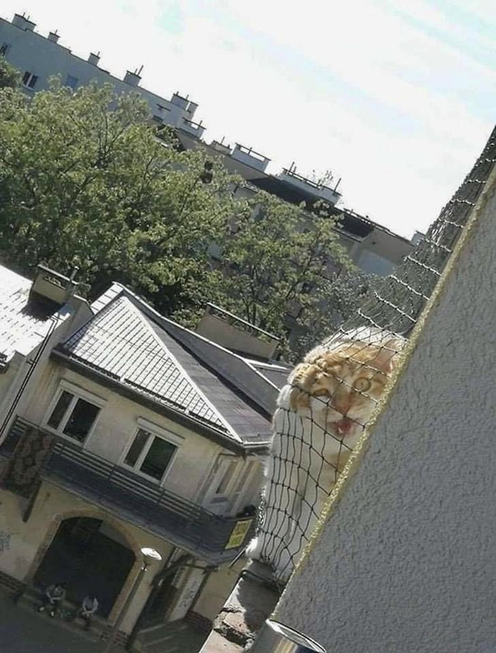 ���������!