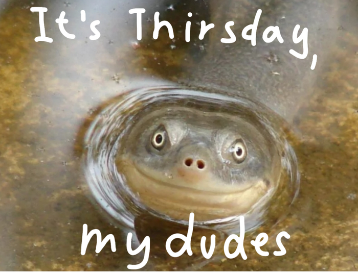 А как вам, уважаемые, идея поздравлять друг друга с четвергом?.... черепашьим четврегом