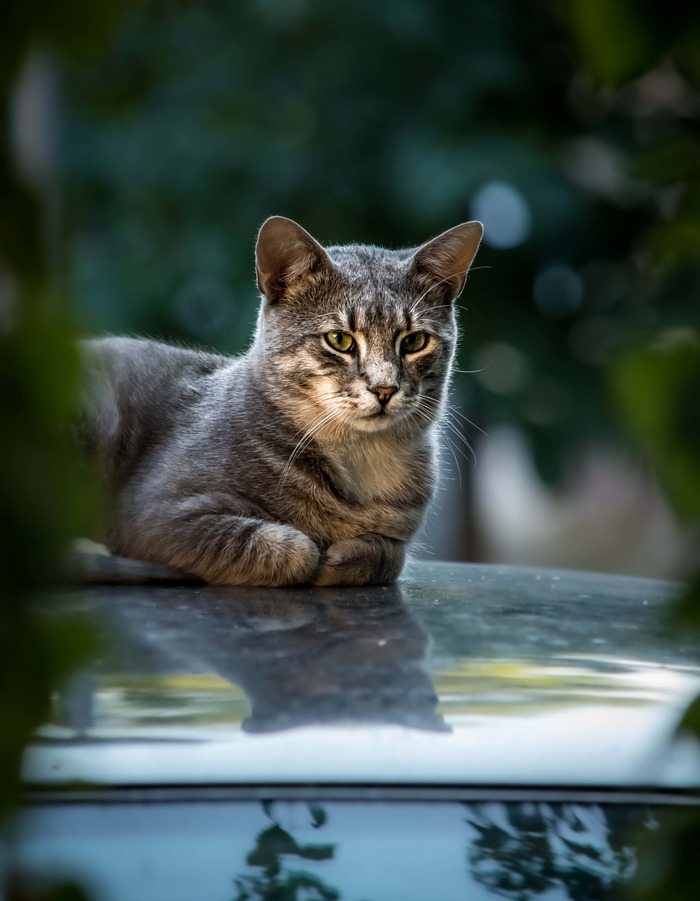 ���- ��������������