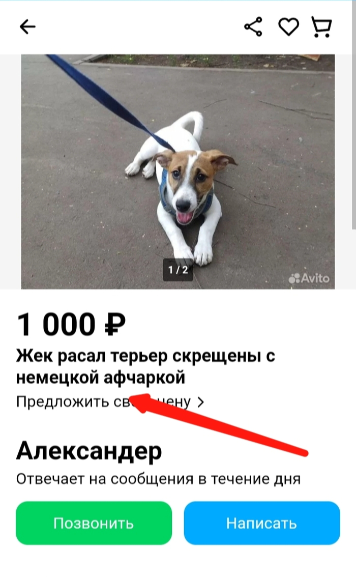 ��� ��� �����