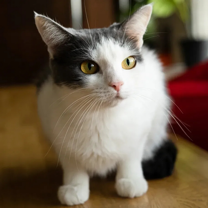           ? , , ,   , , ,  , ,  , ,   ,  ,  , ,  ,  , 
