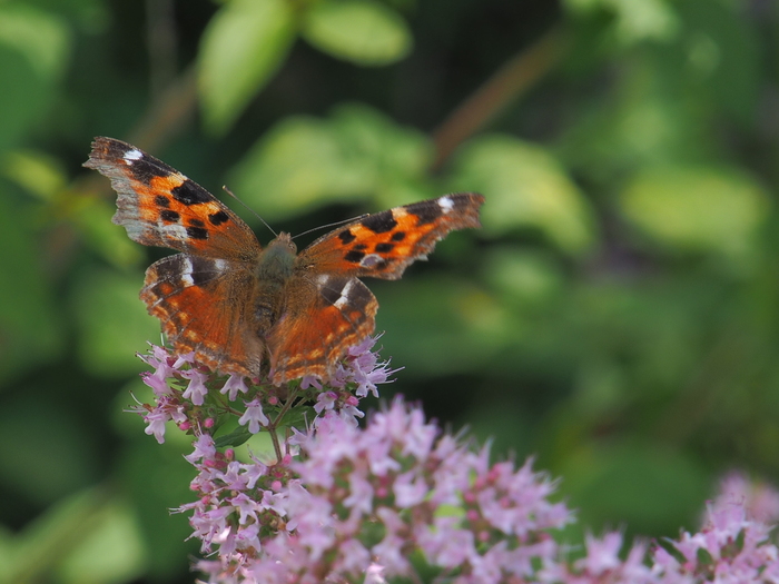 Дендрапарк екб | Пикабу
