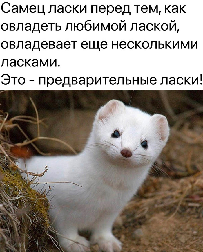        , , , , ,  