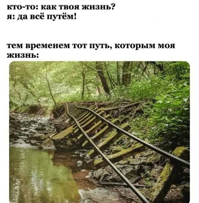 Путь самурая | Пикабу