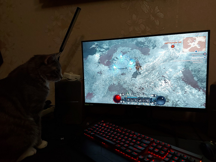 Diablo IV   , Diablo IV,  , 