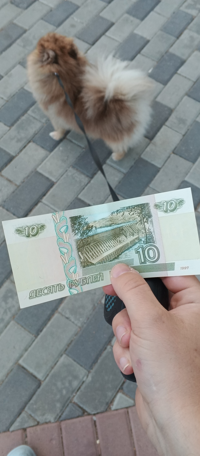 �������