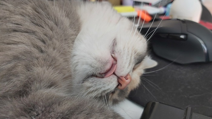 ������� ���