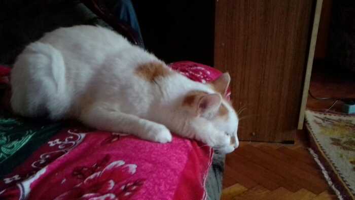 ����� ���������� "�������" �� ���