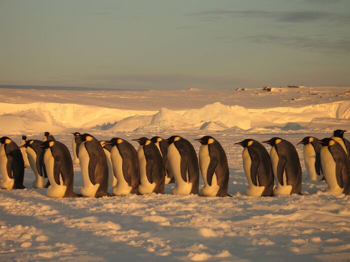 Антрктида, зима, июнь