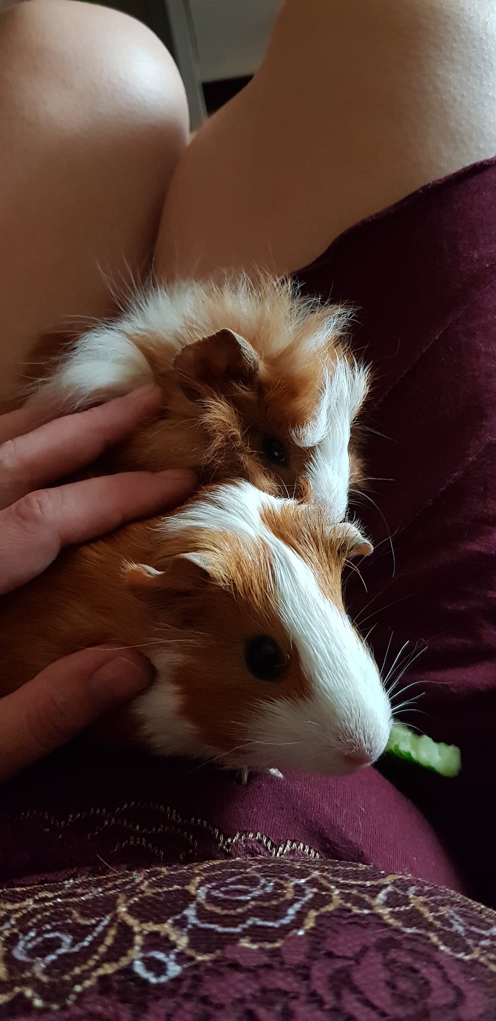 ������ �  ��� �������...