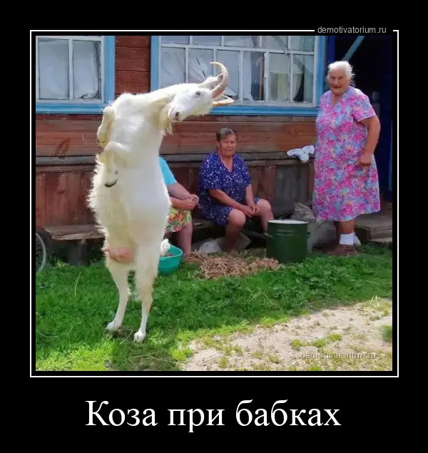 ������� ��� ������