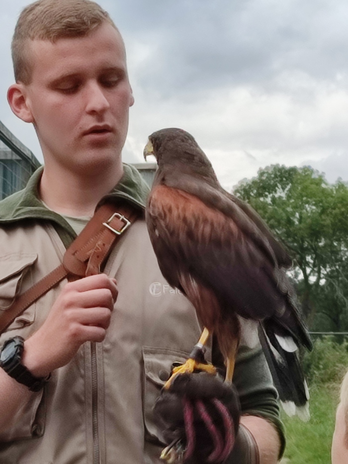 Зоопарк птиц в Нидерландах | Пикабу