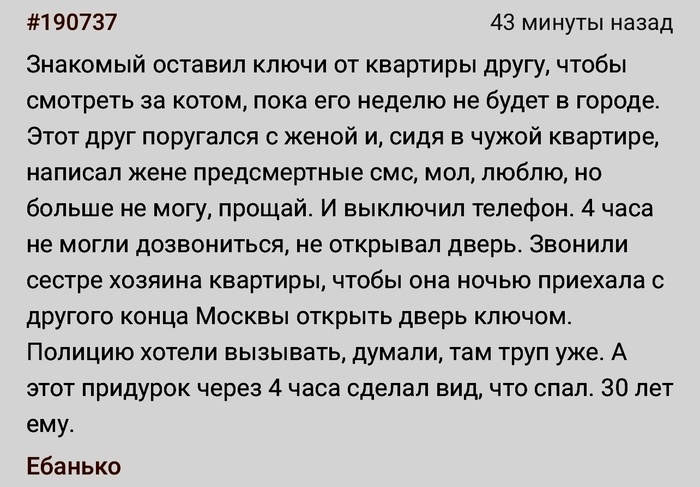Внимания захотелось | Пикабу