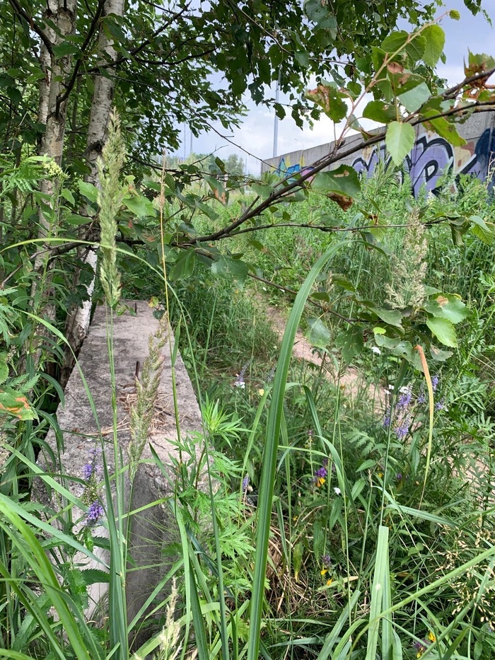 ���������� �����