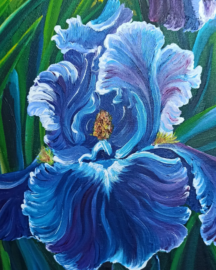 Ирисы маслом | Пикабу