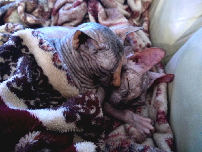 ���� � ������