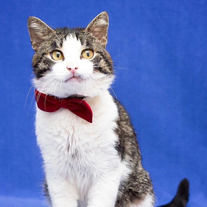 Давайте жить дружно? | Пикабу