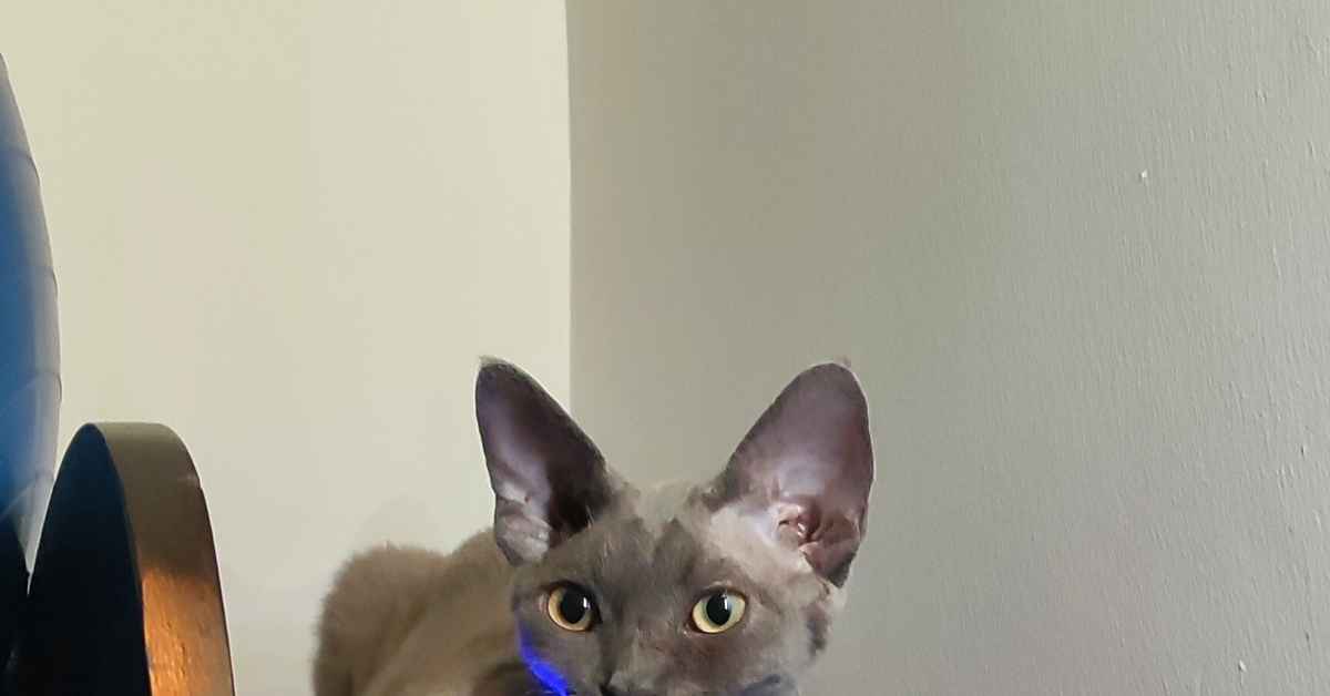 Индикатор перегрева | Пикабу