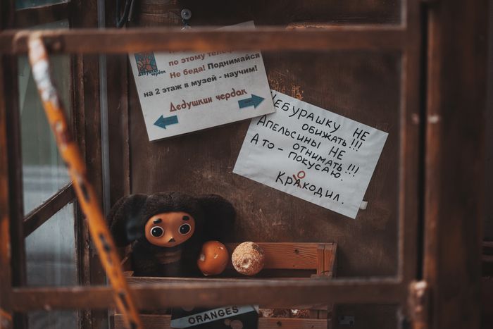 На просторах Измайловского кремля