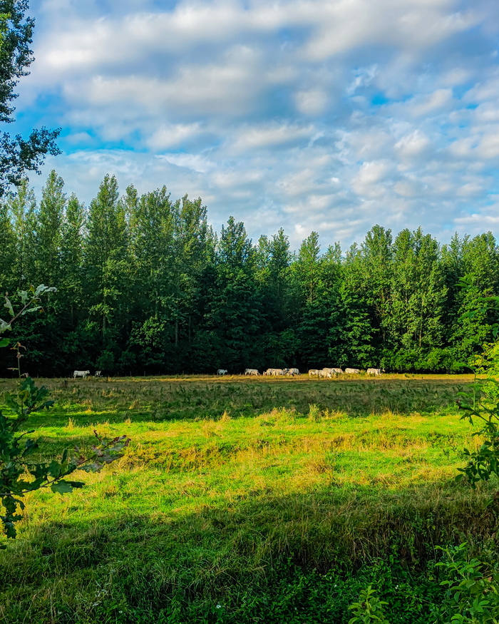 Фото с пробежки