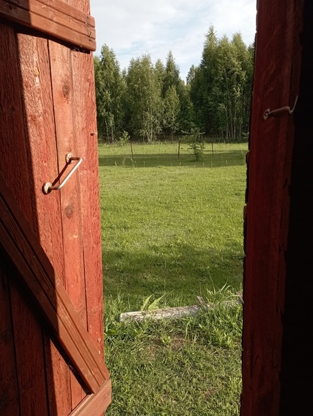 Двери восприятия