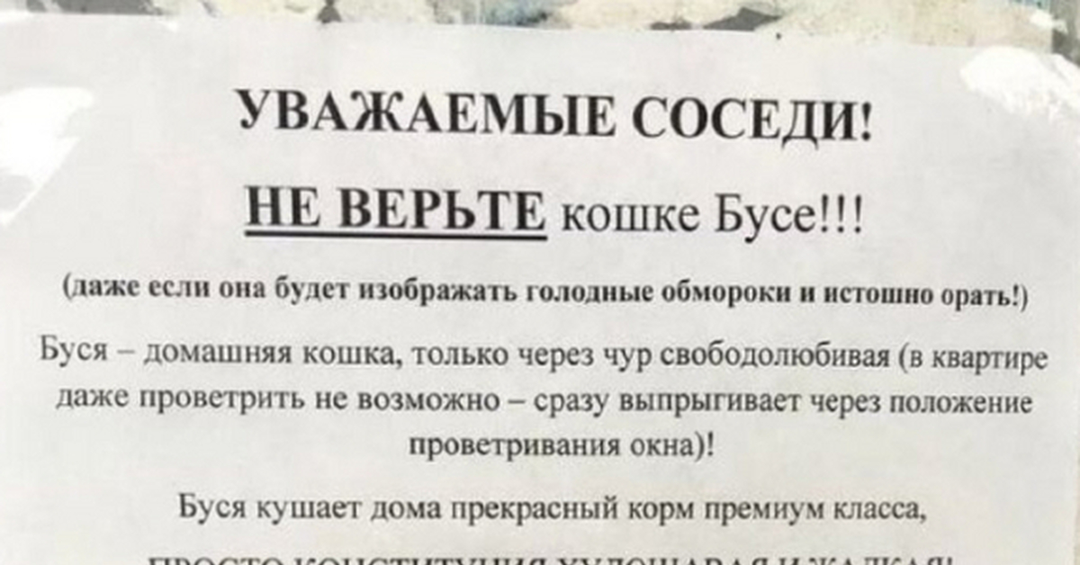 Э уважаемый. Уважаемые соседи не верьте кошке бусе. Не верьте кошке бусе. Не верьте кошке бусе уважаемые. Кошка Буся аферистка.