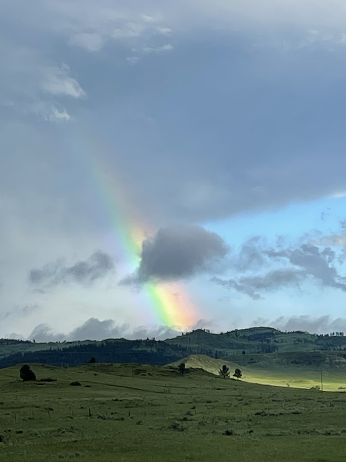 Yellowstone. Bridge Bay camp  , , , , ,  