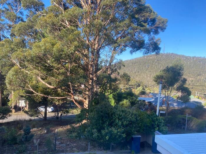 Природа Тасмании (вид из окна)