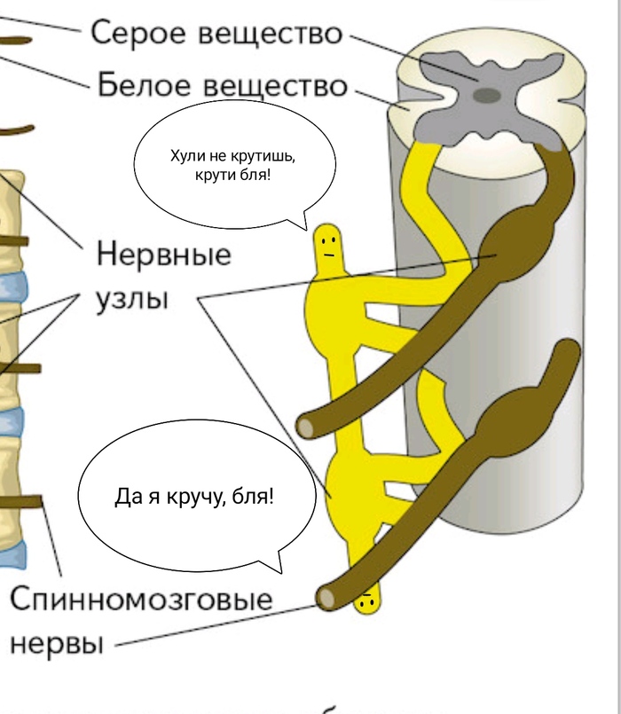 ������� ����