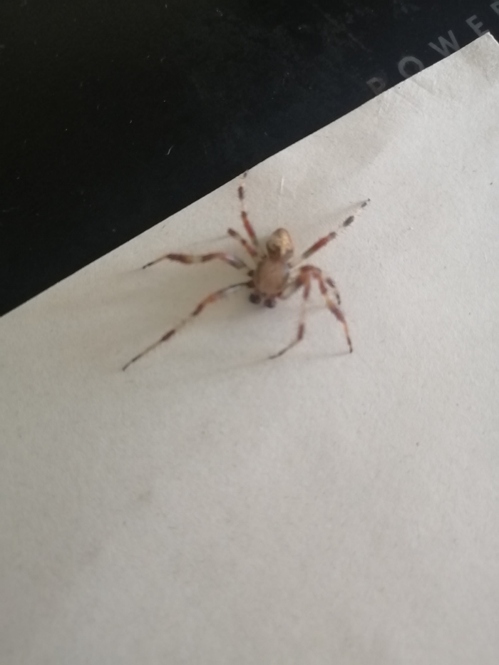 ��� ���? ��� �������?