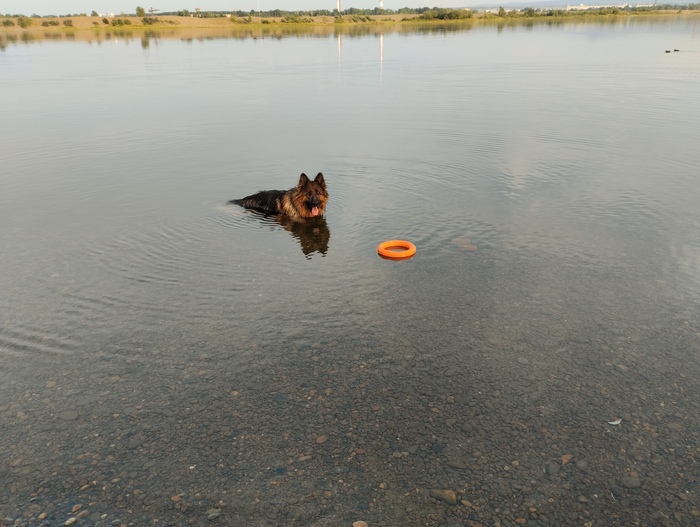 ��� � ����� ���������� (���� ������)