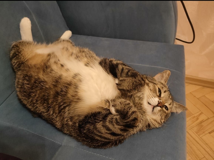 ������� ��������