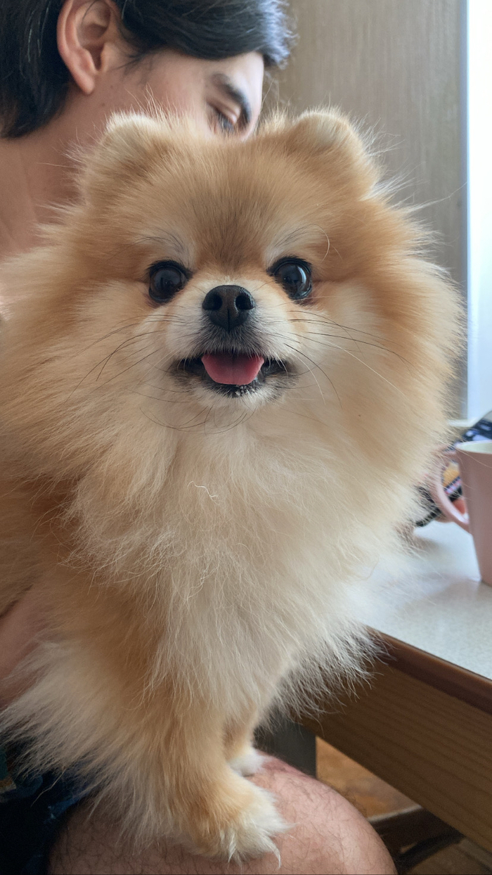 �������� ��������� ����������! �����������, �����