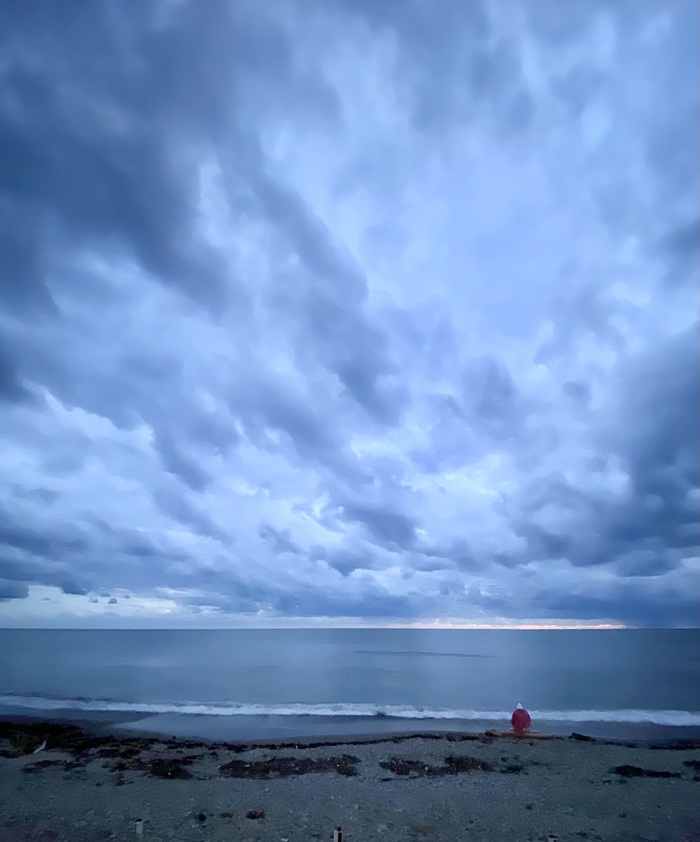 ������� ����