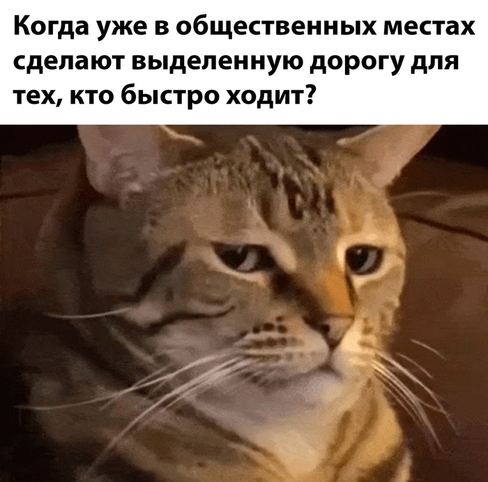  ... ?