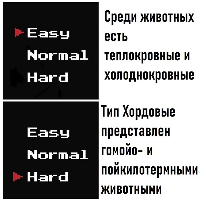 ������ #21