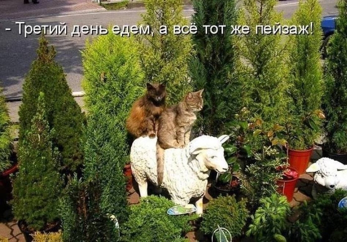 ����� �������